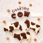 ⁦חותכן פרה 10 -7 סמ⁩ – תמונה ⁦2⁩