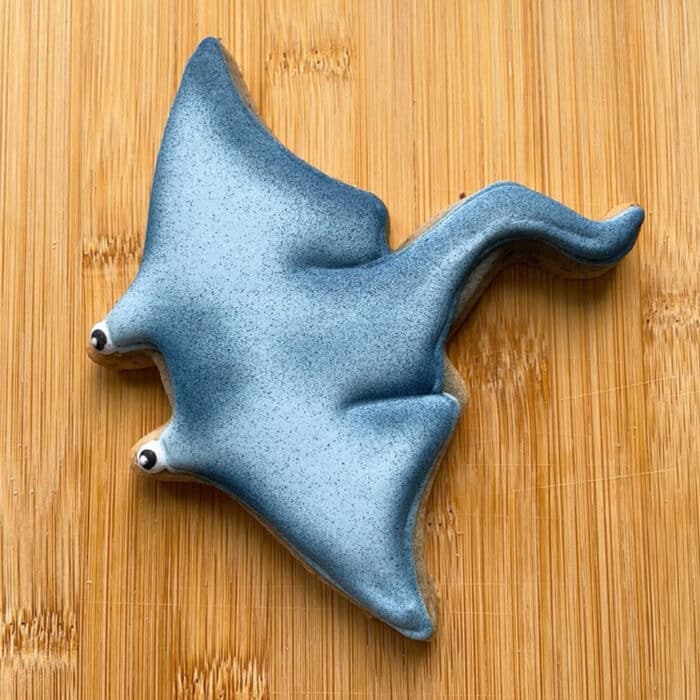 ⁦חותכן חתול ים 11.4-11.4 סמ⁩ – תמונה ⁦2⁩