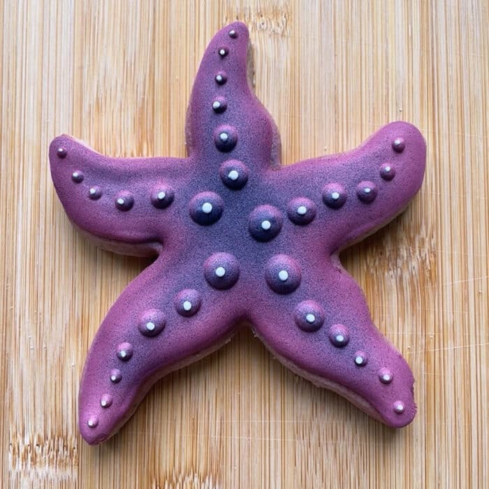 ⁦חותכן כוכב ים 8.9-10.6 סמ⁩ – תמונה ⁦2⁩