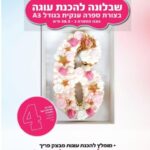 שבלונה מפלסטיק בגודל A3 מס 4