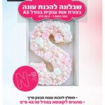 שבלונה מפלסטיק בגודל A3 האות N