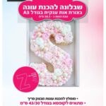 שבלונה מפלסטיק בגודל A3 האות Z