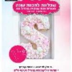 שבלונה A3 אות Y מפלסטיק 074Y