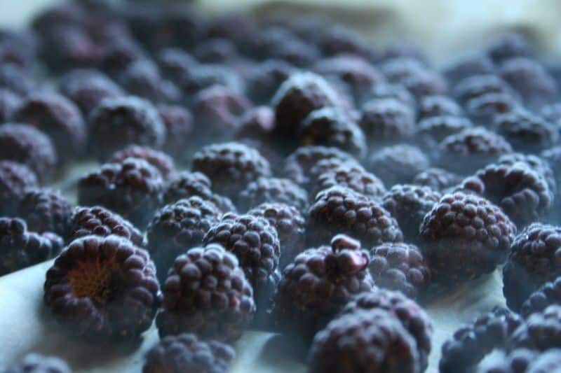 פרי פטל שחור קפוא 2 קג – תמונה 1