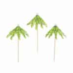 מטריות עלים ארוכות