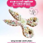 שבלונה מפלסטיק בגודל A3 בצורת מספריים