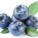 אוכמניות שחורות 2 קג