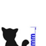 חותכן פלסטיק חתול 3.3-4 סמ