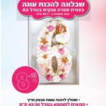 שבלונה מפלסטיק בגודל A3 מס 8