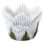 מנג'טים עלה כותרת- שושנה לבן וילטון ארה"ב