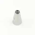 צינטר מספר 31