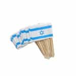 24 דגלי ישראל על קיסם