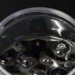 דובדבן אמרנה 60% 2.7 ק"ג אלמנדוס