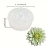 סילקון לחיצה פרח בלעדי!