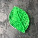 סיליקון לחיצה עלה