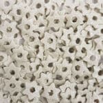 סוכריות מגן דוד כסף 50 גרם