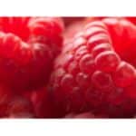 מחית פטל 1.5 ק"ג