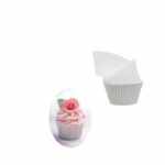 עטרות נייר מספר ארוז 100 יח'