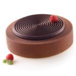 ⁦SF231 תבנית סילקון TOURBILLON100 סילקומרט⁩ – תמונה ⁦3⁩