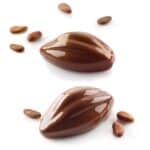 CACAO תבנית קקאו סילקומרט איטליה