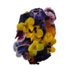 פרחים אכילים כ-20 יח