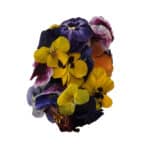 פרחים אכילים כ-20 יח