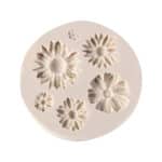 תבנית 6 פרחים גדלים שונים בלעדי!