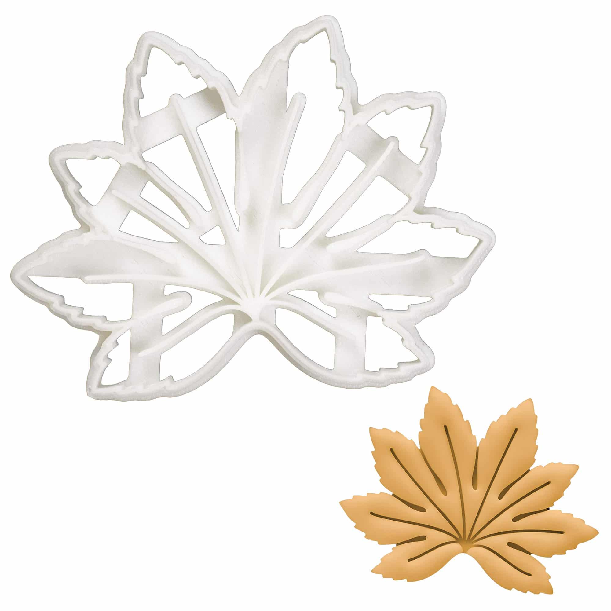 חותכן עלה אדר משונן בלעדי! – תמונה 1