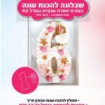 שבלונה לעוגה מפלסטיק A3 מספר 1