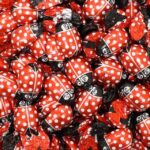 חיפושיות שוקולד 100 גרם