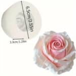 תבנית סילקון YY שושנה בלעדי!