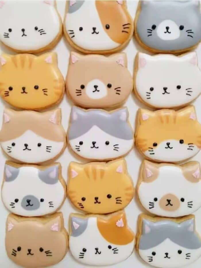 ⁦חותכן פני הלו קיטי/חתול⁩ – תמונה ⁦2⁩