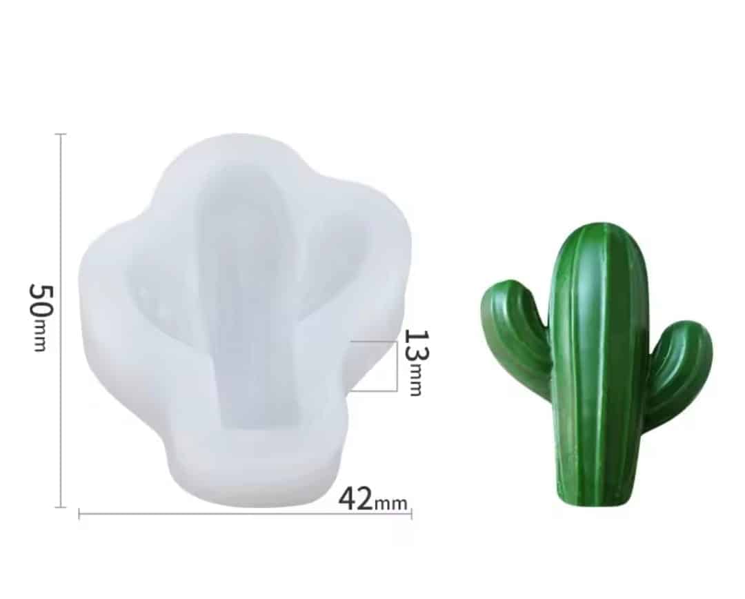 תבנית סברס/צבר בלעדי! – תמונה 1