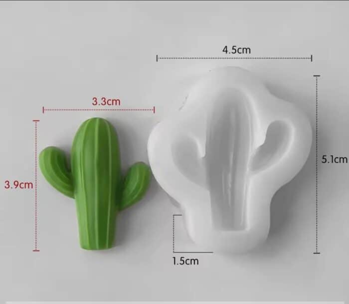 ⁦תבנית סברס/צבר בלעדי!⁩ – תמונה ⁦2⁩